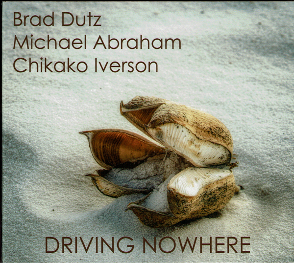 Driving Nowhere CD by Tonian Labs photo